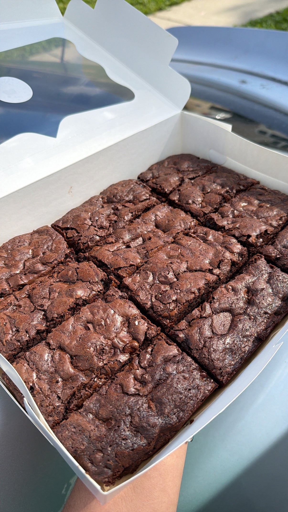 Brownie Dozen